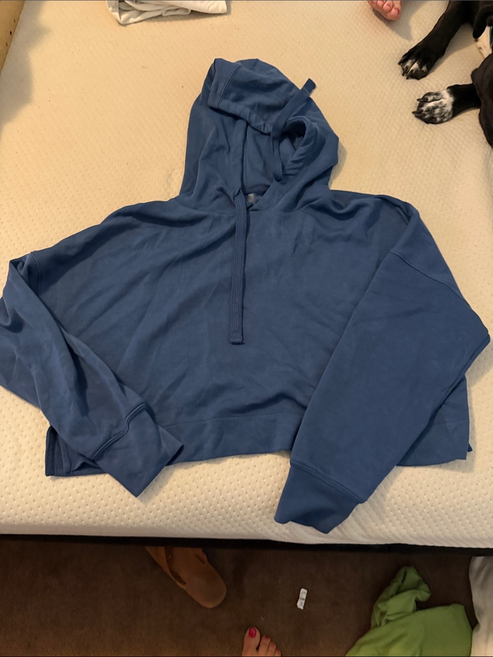 Blue Cropped Hoodie Sweatshirt